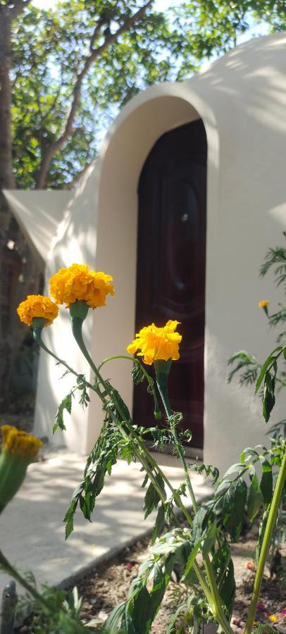 Done Right Hostel Phumi Chrouy Svay ภายนอก รูปภาพ